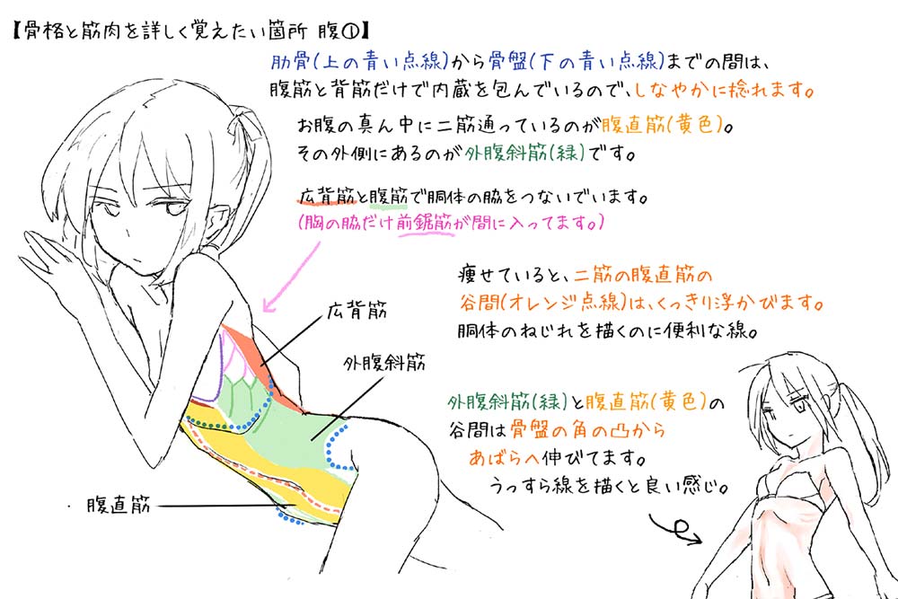 受付終了 人体イラスト 女性編 学校法人専門学校 東洋美術学校