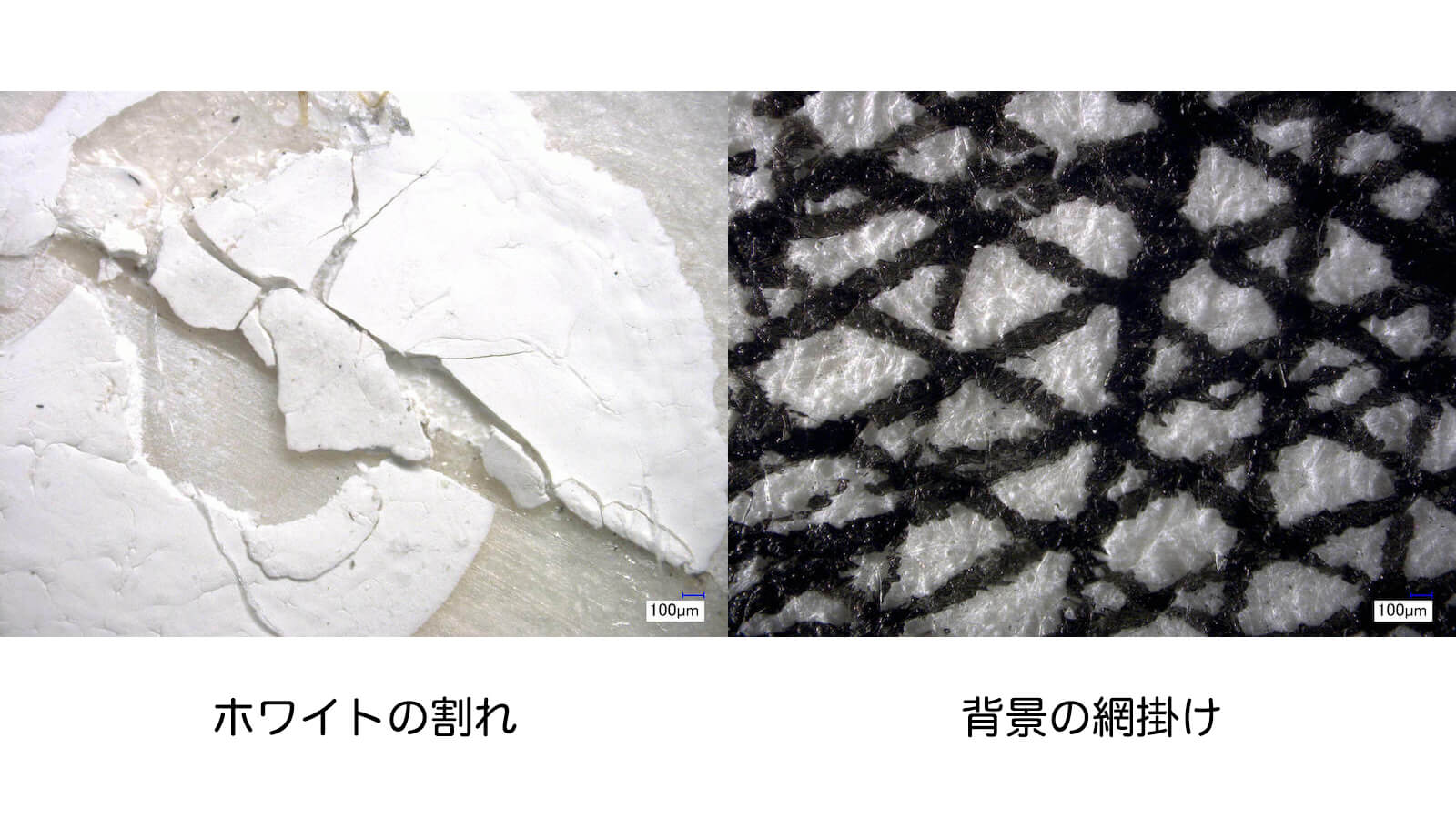 顕微鏡撮影：ホワイトの割れと背景の網掛け部分の劣化観察